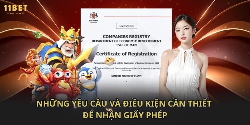 Những yêu cầu và điều kiện cần thiết để nhận giấy phép