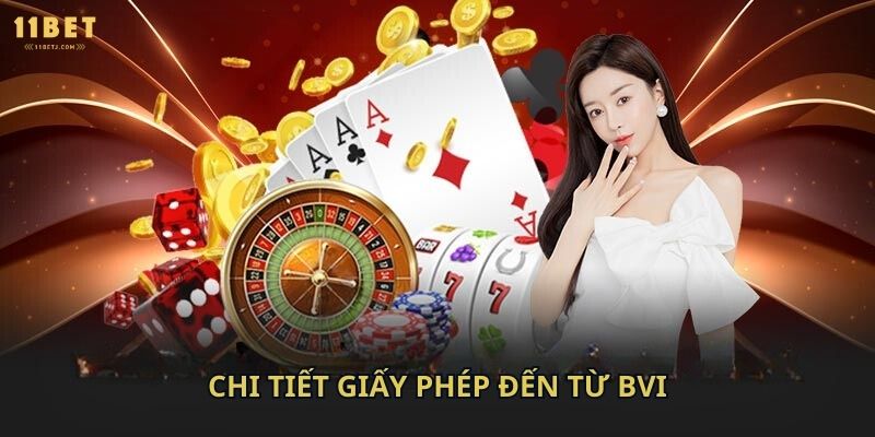 Chi tiết giấy phép đến từ BVI