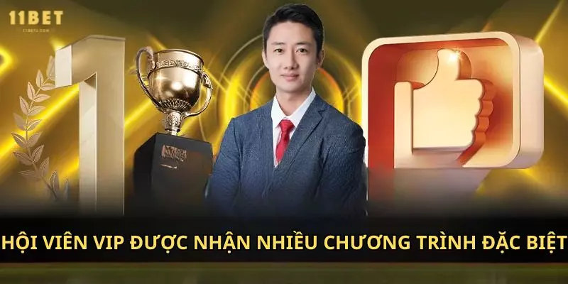 Hội viên VIP được nhận nhiều chương trình đặc biệt